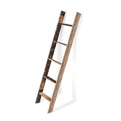 Propst 5 ft Blanket Ladder
