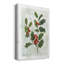 Toile tendue avec châssis Botanical Holly Berry-403508564