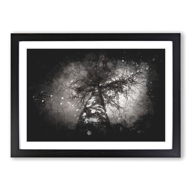 Birch Tree - Picture Frame Graphic Art, Black, 65cm H x 90cm W x 2cm D