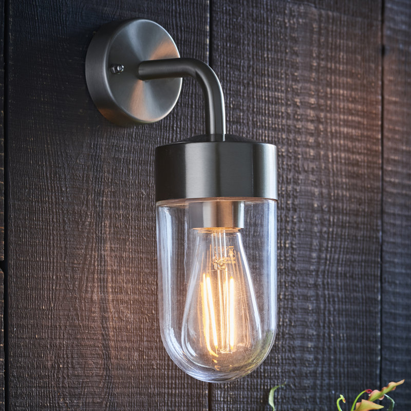 Myla 21cm H Outdoor Wall Lantern, Stainless Steel
