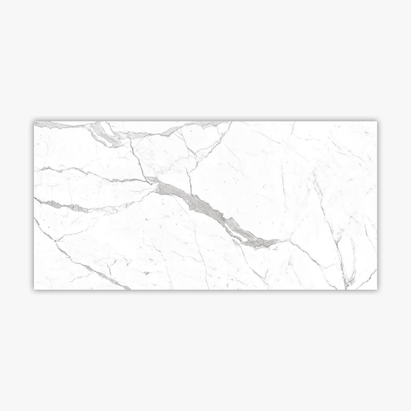 Calacatta 24" x 48" Porcelain Marble Look Singular Wall & Floor Tile