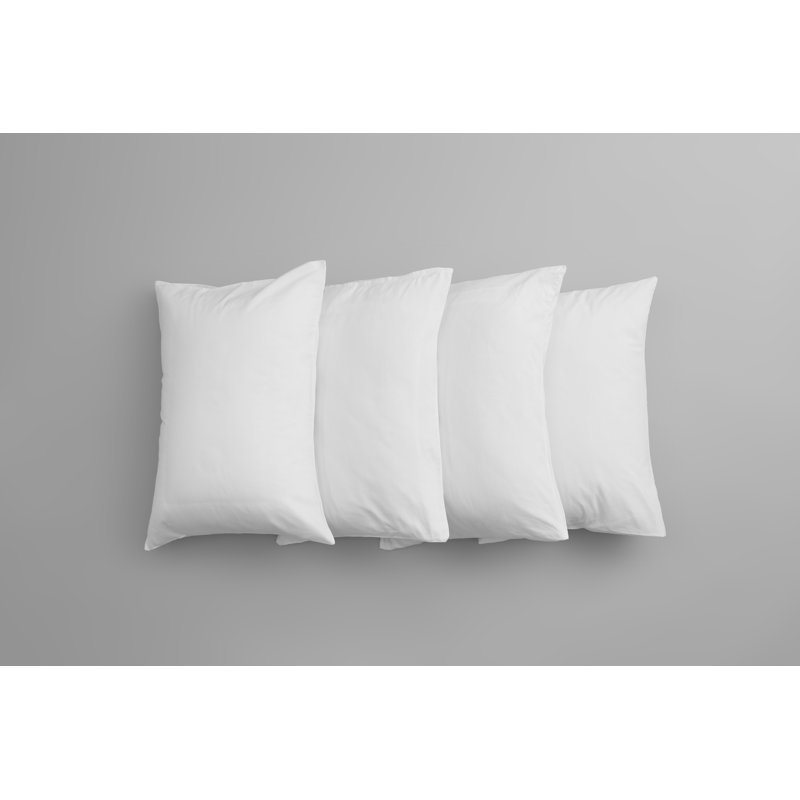  Coussin en duvet de coton biologique 20 po, 24 po x 24 po