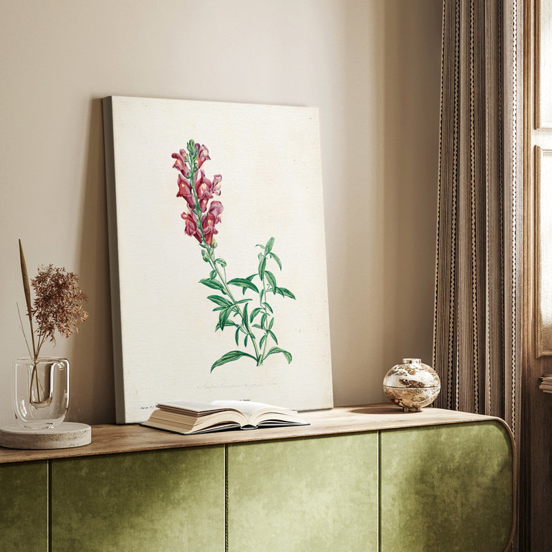 Traditional Botanical I - galerie sur mesure, H 18 po x l 12 po