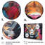 Colourful Panther Fauvist Spirit Acrylic I - Animals Canvas Wall Art-1695864004-1695864000