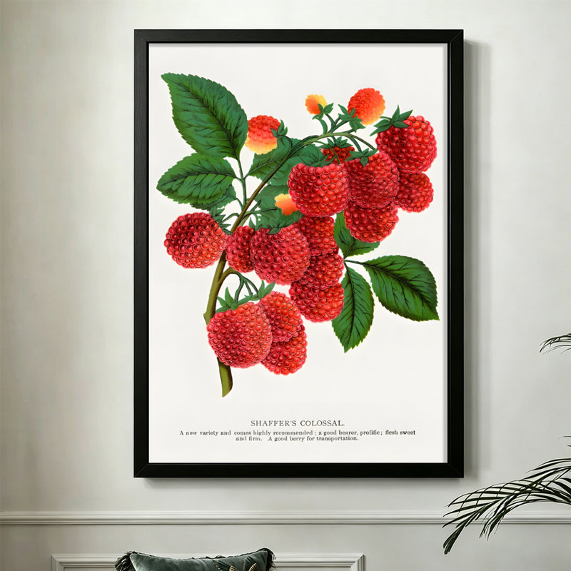 Branche de framboise abstraite moderne avec baies mûres et feuilles vertes, style illustration botanique. Art mural 24 "x 36" avec cadre en bois noir