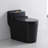 Dual-Flush Elongated One-Piece Toilet (Seat Included)