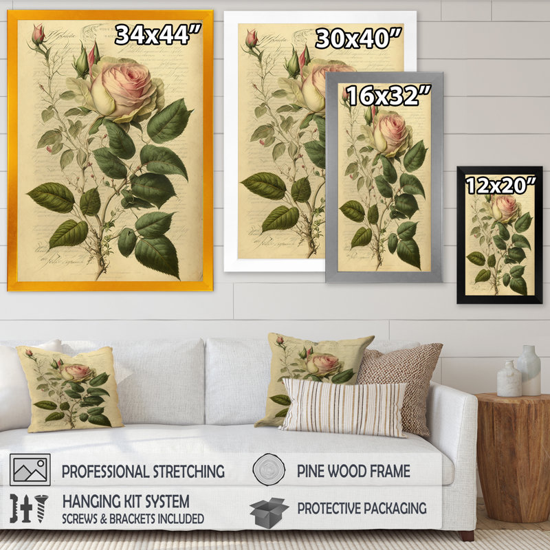 Victorian Retro Pink Rose V - Rose, reproduction encadrée, Impression noire sur toile encadrée, H 20 po x l 12 po x P 1 po