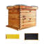 Blue Elephant 10-Frame Complete Beehive Kit, Wax Coated Bee Hives , Includes 1/2 Deep Box and 1 Medium Bee Box-1931476038