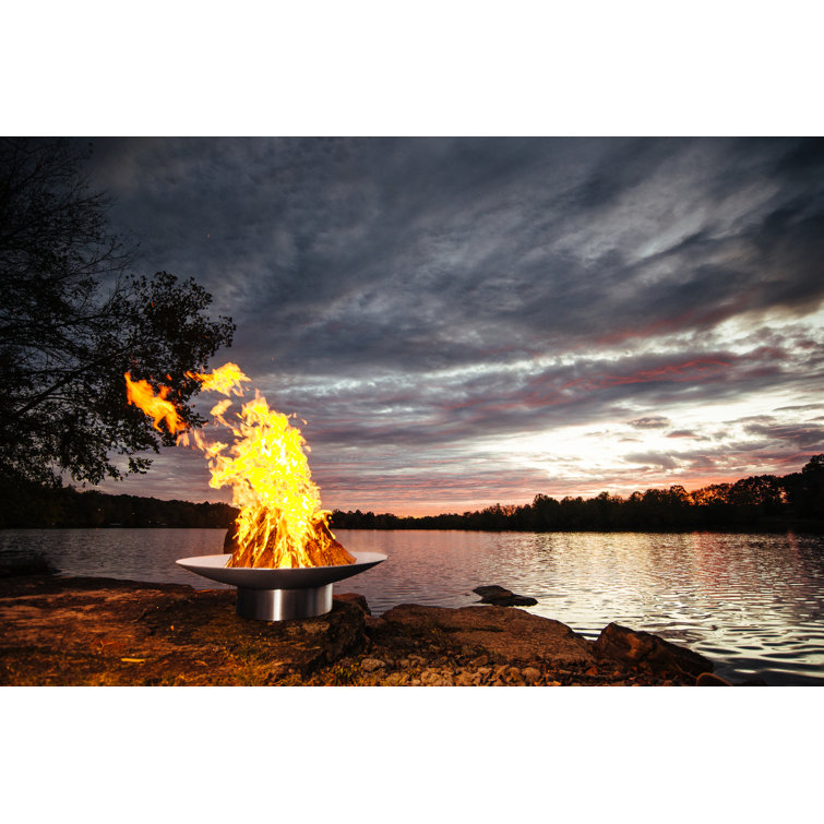 Fire Pit Art Bella Stainless Steel Propane/Natural Gas Fire Pit - Wayfair  Canada