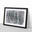 A Birch Tree Forest - Framed Print-56842723-56842724