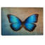Floral, papillon bleu rétro, Impression sur toile - Papillon rétro-35120276-35120282