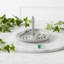 Serpentina Ring Holder