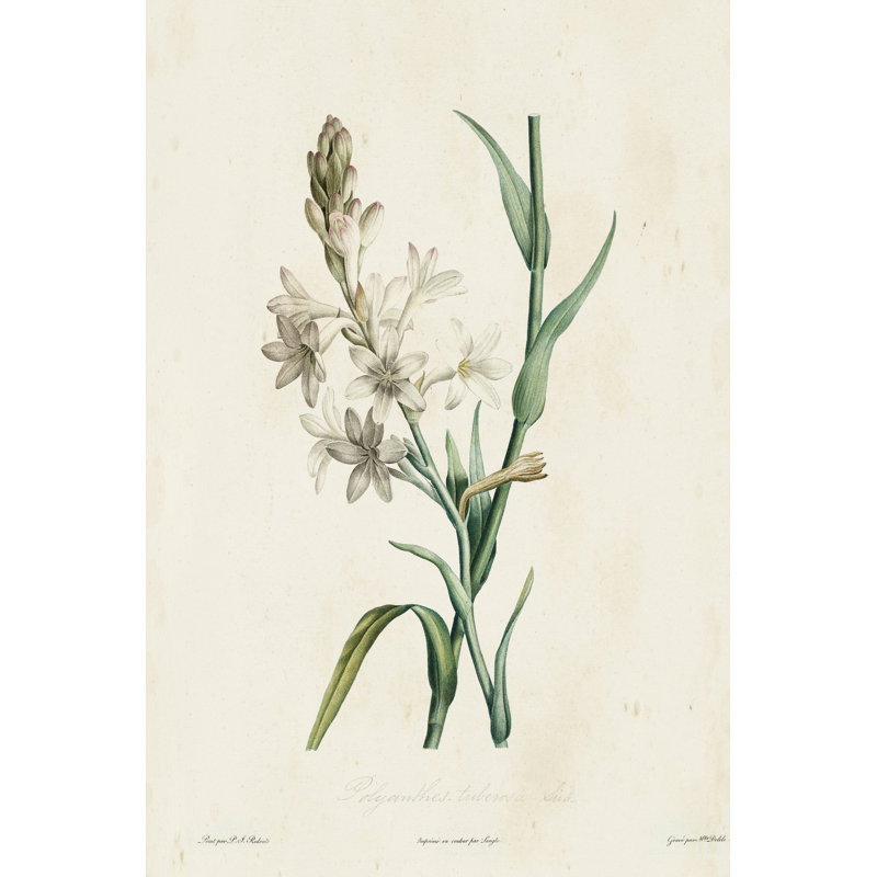 Traditionnel botanique IV, H 48 po x l 32 po x P 1,25 po