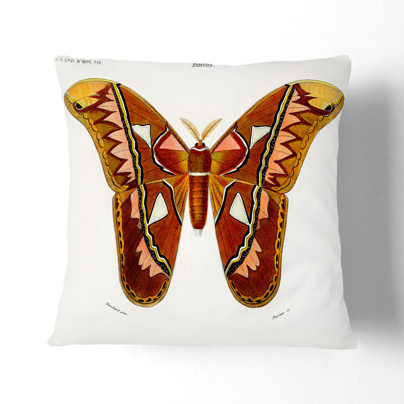 Square Throw Cushion, 40 x 40 cm