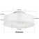19.6'' Ceiling Fan with Light Kit and Remote Control Included