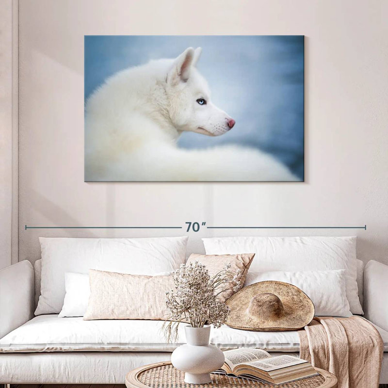 Brampt Pure White Husky, 30'' H x 45'' W