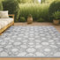 Light Gray/Ivory