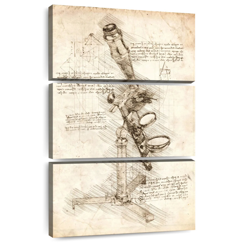 Vieux microscope Laelle, H 38 po x l 24 po