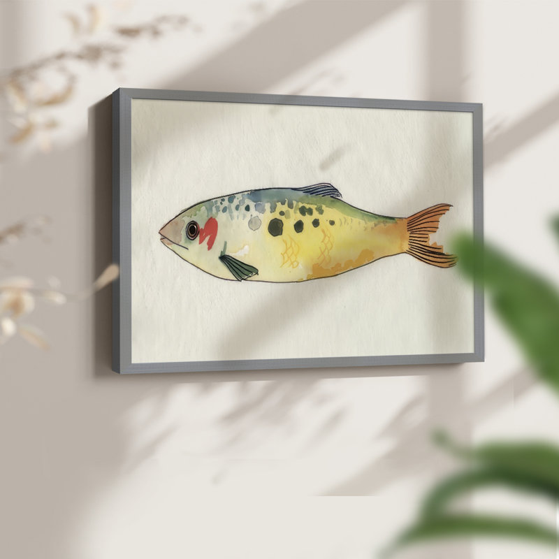 Fanciful Fish I -Framed Print - Restickable, Gray, 16" H x 20" W