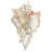 Seashell IV - Wrapped Canvas Painting-484206134