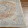 Washable Oriental Indoor Rug