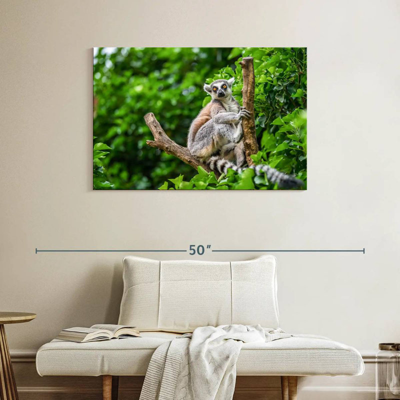 Brampt Stunned Lemur, 26" H x 39" W