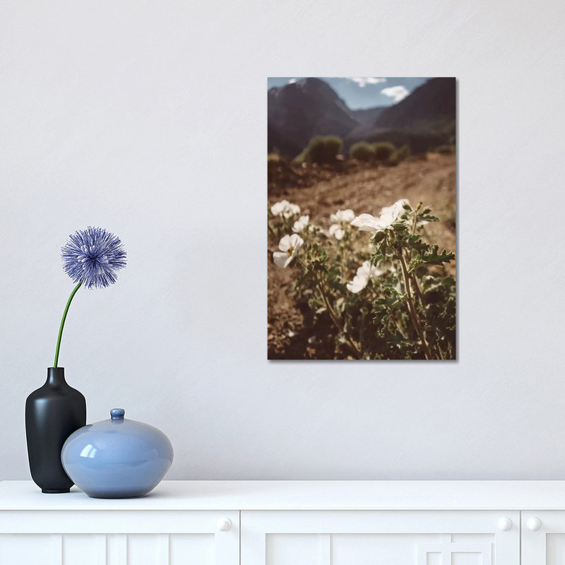 Yosemite Blooms by Bethany Young - Print on Canvas, Wrapped Canvas, 45.72cm H x 30.48cm W x 1.91cm D