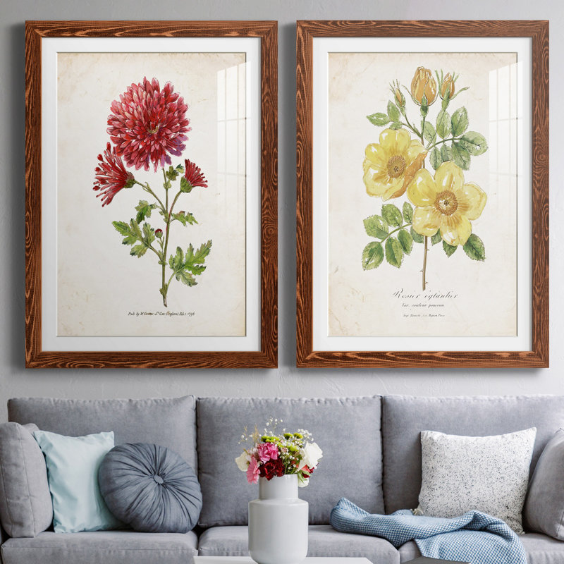 Botanical III - ensemble de 2 reproductions d'art, H 37,5 po x l 55 po x P 1,5 po, Papier avec cadre érable, Blanc