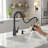 Pull Down Kitchen Faucet With Deck Plate-120756520-125523654