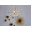 Andromeda 8 - Light Chandelier-26116166-26116168