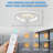 Elyzabeth Ceiling Fan