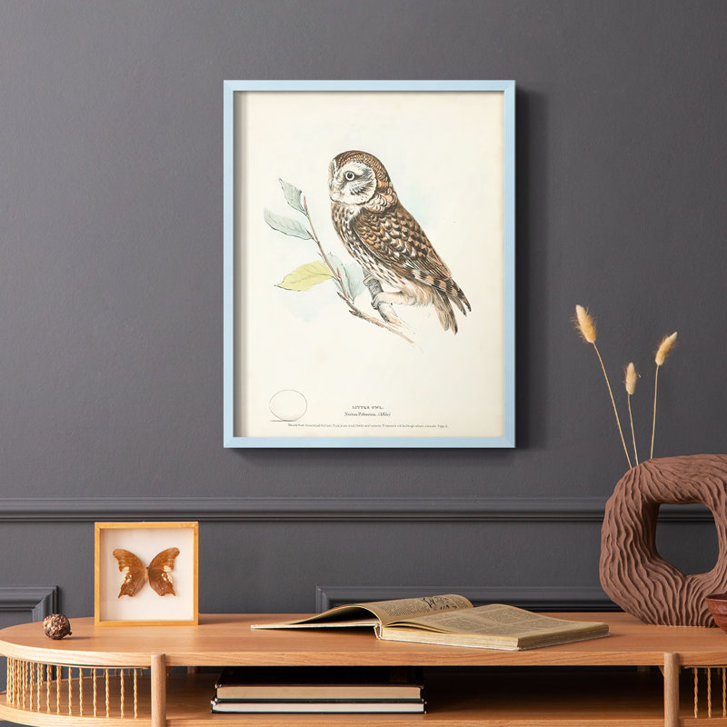 «Little Owl», reproduction encadrée - bois massif, Bleu, H 10 po x l 8 po