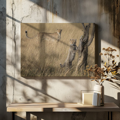 Wrapped Canvas Print