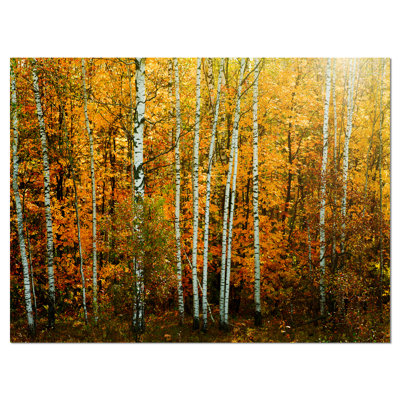 «Yellow Colorful Autumn Forest», reproduction de photo sur toile tendue
