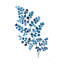 «Maidenhair Fern» par Mercedes Lopez Charro, peinture-1010320698-1041920319