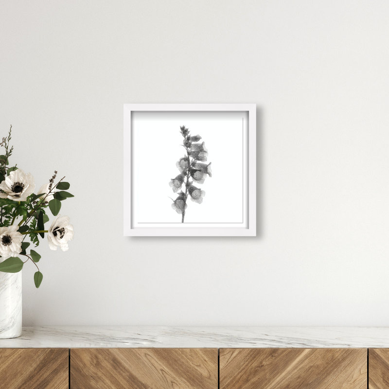 Ossified Petals II Shadowbox Floral & Botanical Print by Oliver Gal, Black Frame, 12 x 12, 13.5"H x 13.5"W, White Shadowbox