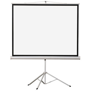 Écran de projecteur blanc à trépied portable