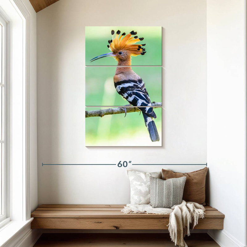 Brampt Common Hoopoe, 45" H x 28" W