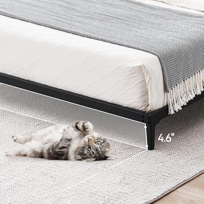 Lit simple WildVenture - 6 po, noir mat, espace sous le lit