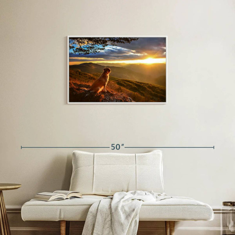 Chien regardant le lever du soleil, Cadre flottant blanc, 31 po x 21 po
