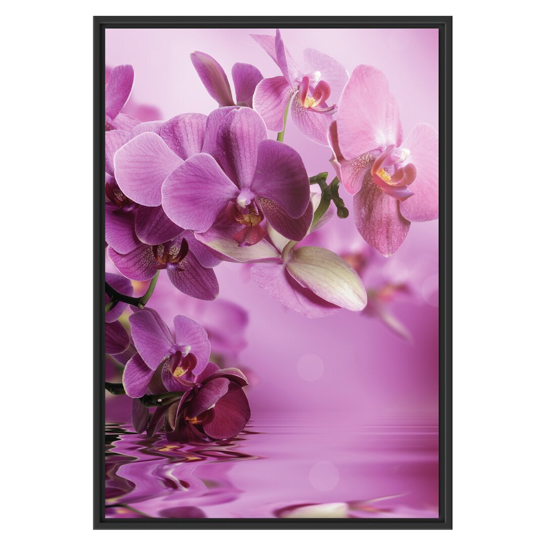 Gerahmtes Wandbild Wunderschöne Orchideenblüten