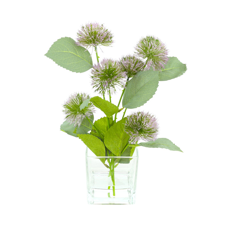 Globe Thistle Arranged in Glass Vase