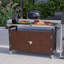 Table d'extérieur portative pour chariot de bar en résine d'aspect bois durable et comptoir en acier inoxydable, idéale pour la préparation de la cuisine et les grillades