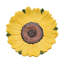 Set of 4  Bright Flower Plates