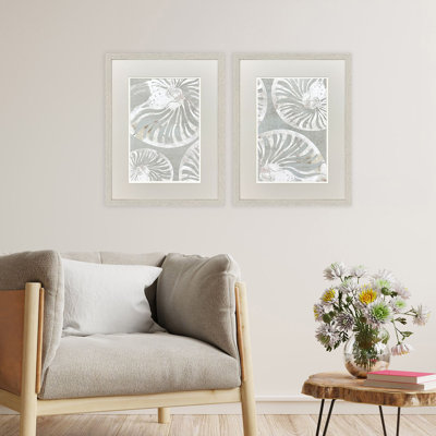 Nautilus Shell Framed Art