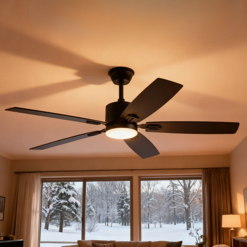 Ceiling Fans With Lights, Smart Ceiling Fan With App And Remote Control, Black, 52" Wide