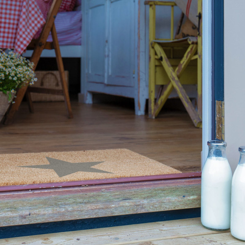 Non-Slip Indoor Doormat