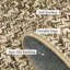 Area Rug