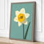 Golden Daffodil Botanical - Wrapped Canvas-474364851-474364861