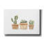 Bungalow Rose «Miniature Cacti» par Svetlana Aleynikova, art mural sur toile-1060862998